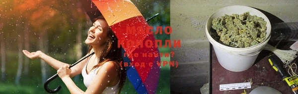индика Бородино