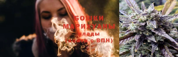 индика Бородино