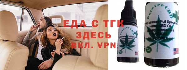индика Бородино