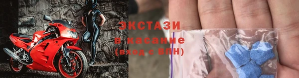 индика Бородино