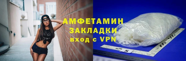 индика Бородино