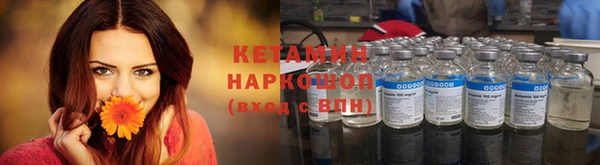 индика Бородино
