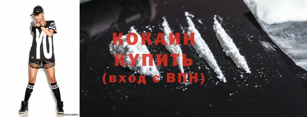 индика Бородино