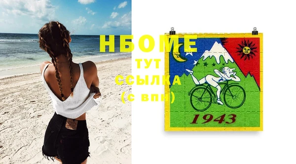 индика Бородино