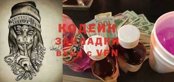 индика Бородино