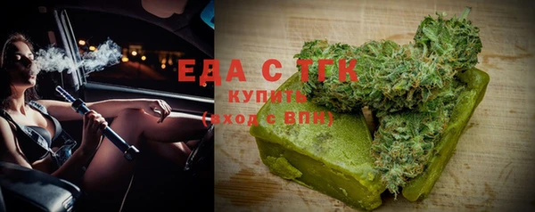 индика Бородино