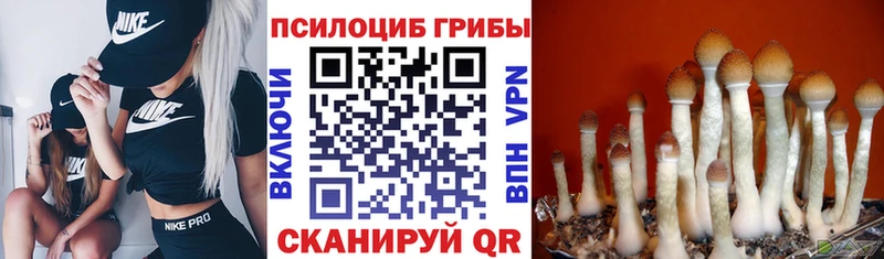 Галлюциногенные грибы прущие грибы  мориарти состав  Челябинск  дарнет шоп 
